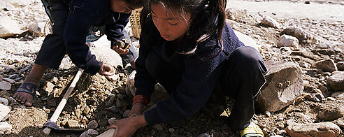 Nepal. Noticias. 14 JUNIO 2010. D�a Mundial contra el Trabajo Infantil