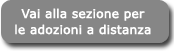 Adozioni a distanza